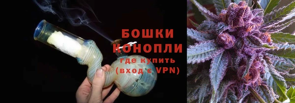 ПСИЛОЦИБИНОВЫЕ ГРИБЫ Навашино