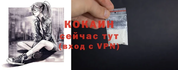МДПВ Нефтегорск