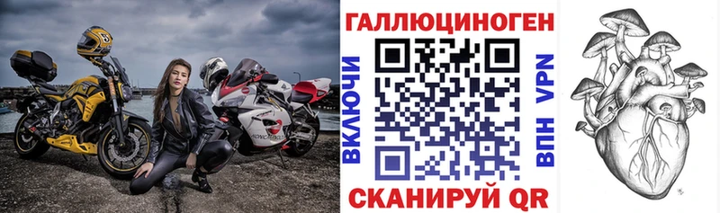 Галлюциногенные грибы Psilocybe  купить наркотики сайты  блэк спрут как зайти  Сосновка 